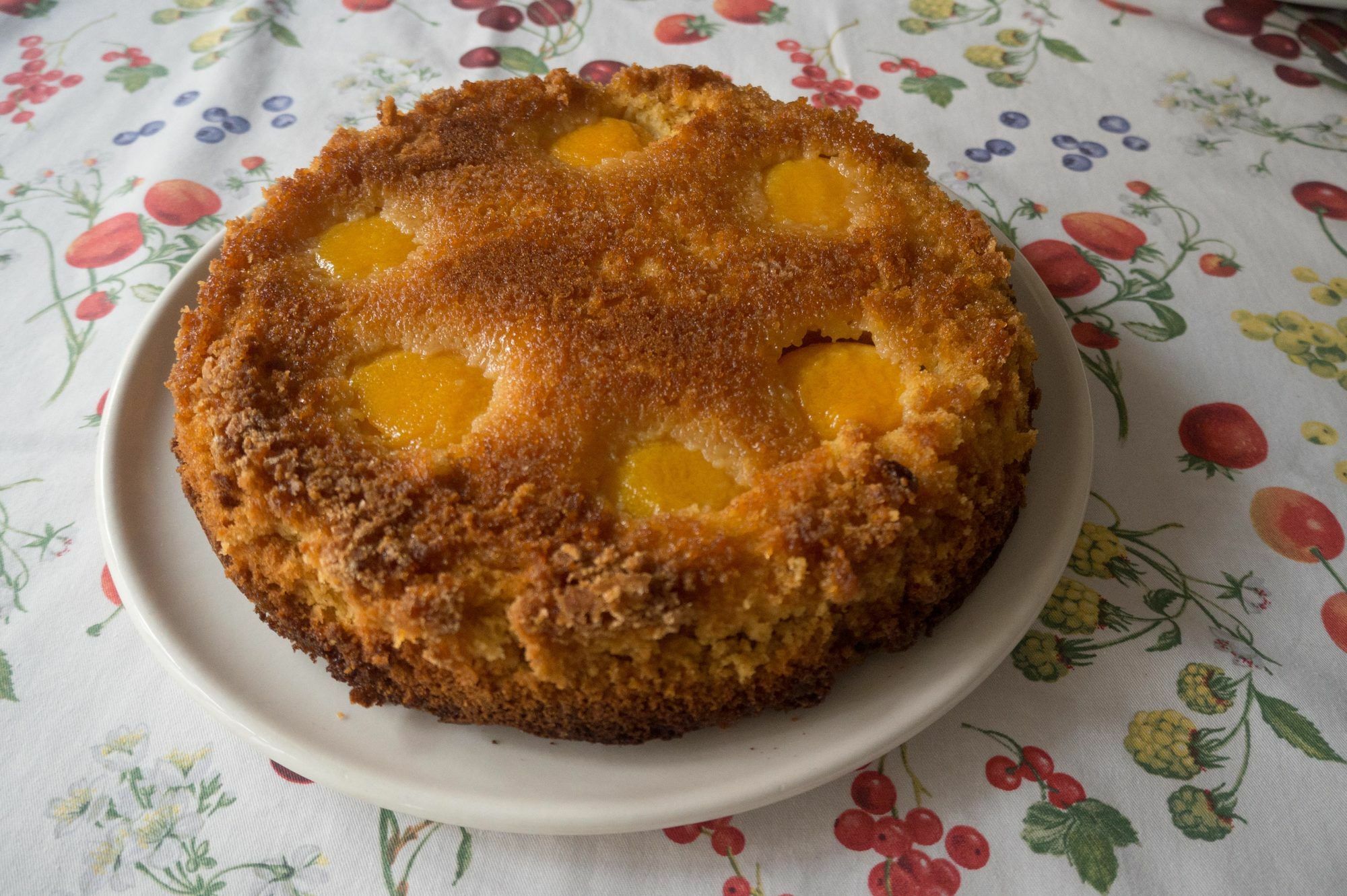A B C Bologna In B&B מראה חיצוני תמונה